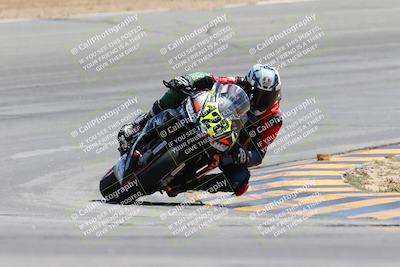 media/Mar-17-2024-CVMA (Sun) [[2dda336935]]/Race 12 Formula 40 MW-LW (Holeshot Race)/